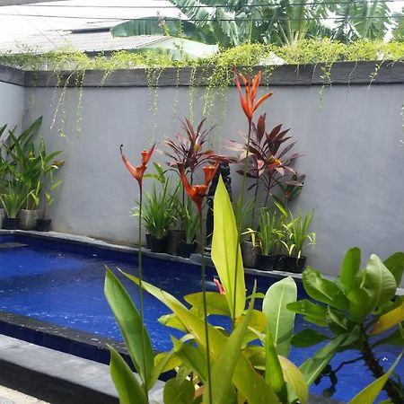 Star Bali Guest House Canggu Dış mekan fotoğraf