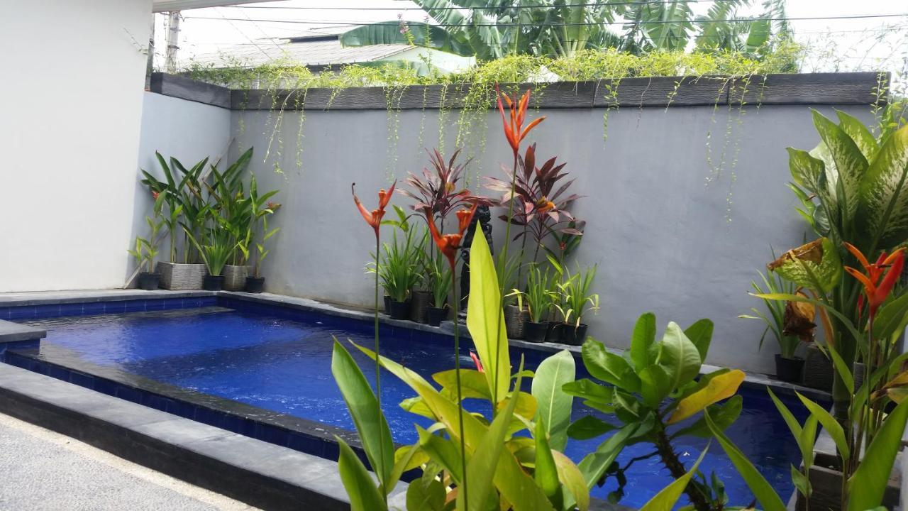 Star Bali Guest House Canggu Dış mekan fotoğraf